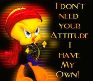i don't need your attitude i have my own