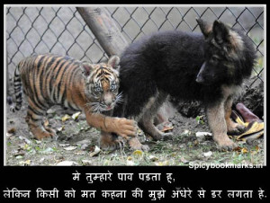 Funny Pics With Hindi Comments