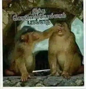 Intha Kodumaya Pakatha Funny Monkey Pic