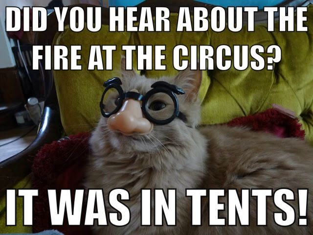 Did You Hear About The Fire At The Circus