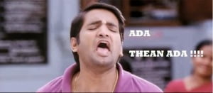 Ada Thean Ada!!! Santhanam