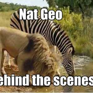 Nat Geo Behind the Scenes