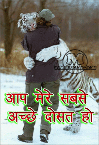 Hindi Scrap Comment Pic