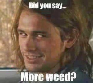 Did You Say… More Weed? English Comment 