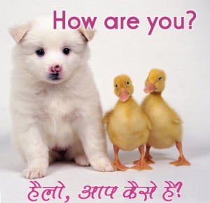 How Are You Hindi Funny Pic