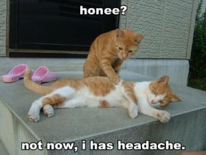 Honee? Not Now I Has Headache