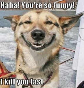 Haha ! You're So Funny ! I Kill You Last