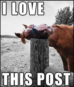 Funny Happy Horse Laughing Love This Post Pics