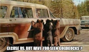 Excuse Us But Have You Seen Goldilocks?