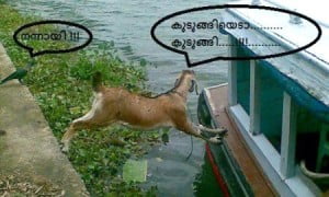 Nannayi!!! Funny Comment Pic