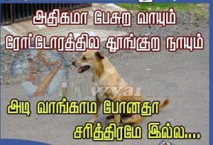 Dog vs Mouth Indraya thathuvam