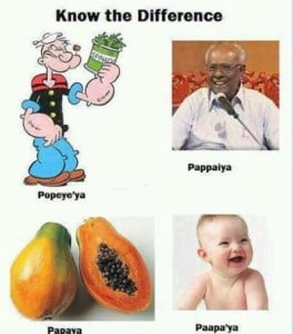 Popeye vs Solomon Paapayya