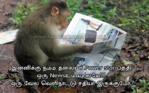 Funny Monkey Reading News Paper