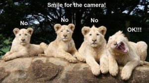 Funny Cute Smile Animal