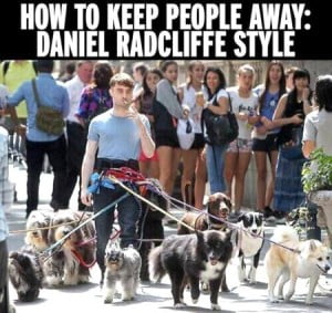 Security Daniel Radcliffe Style Funny Pic