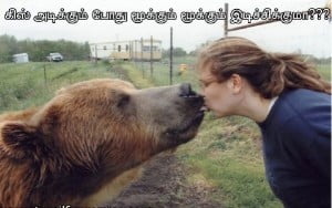 Dog Kissing Funny Comment Pic