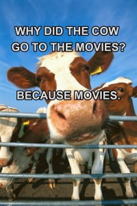 Why Did The Cow Go To The Movies? Fb Comment