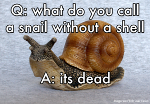 What Do You Call A Snail Without A Shell Fb Comment