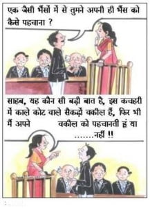 Funny Jokes For Hindi Cartoons