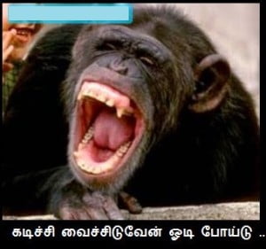 Kadichi Vaichiduven Odi Poidu Funny Post