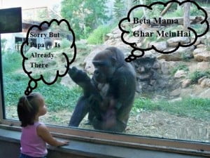 Funny Monkey And A Little Girl Picture