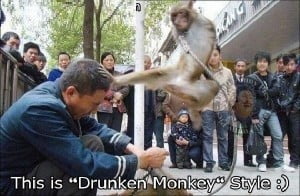 This Is Drunken Monkey Style