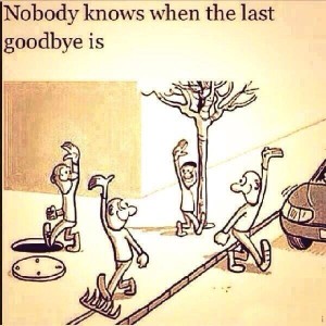 Nobody Knows When The Last Goodbye Is