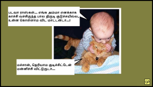 Baby With Cat Funny Comment