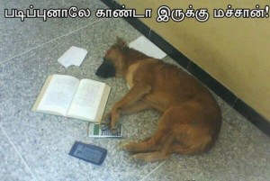 Dog Studying Funny Pic