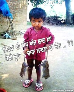 Boy With Rats Image In Punjabi