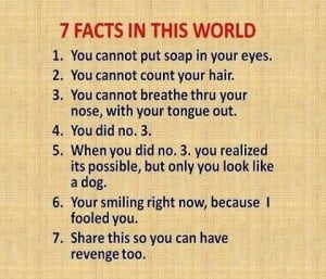 7 Facts In This World