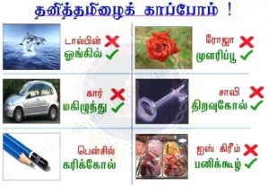 Tamil Language Comment Funny 