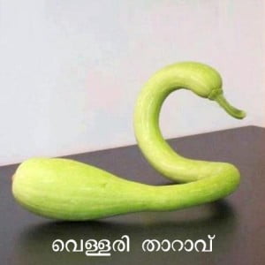 Vellari Tharavu Funny Image