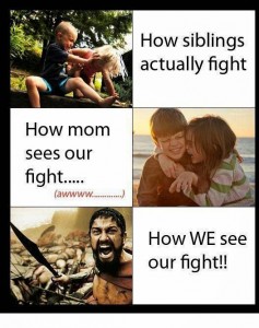 How Siblings Actually Fight