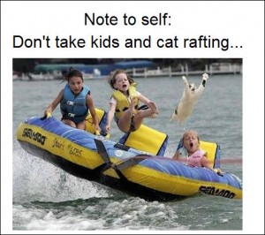 Don't Take Kids and Cat Rafting