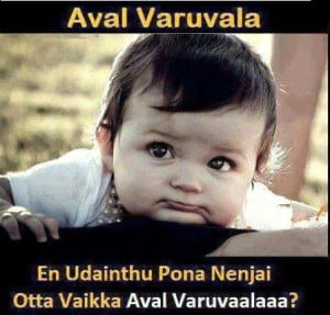 Aval Varuvala Baby Comment Picture