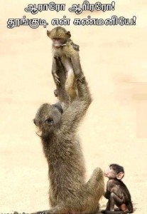 Monkey Family Funny Pic