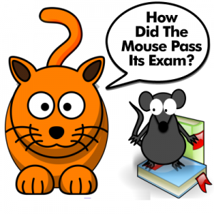 How Did The Mouse Pass Its Exam?