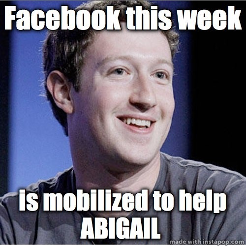 Facebook This Week Is Mobilized To Help Abigail